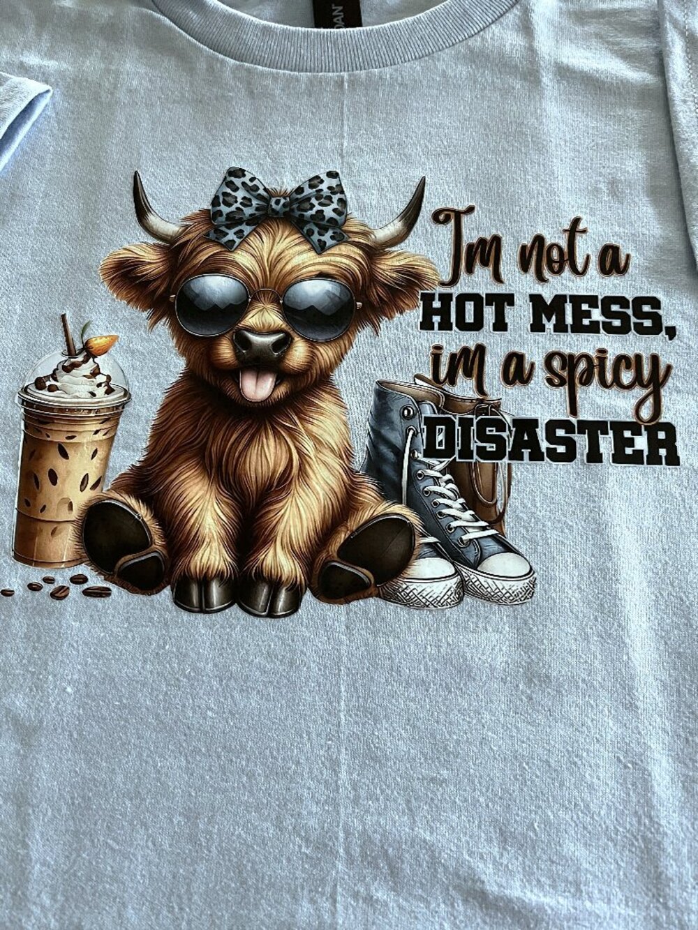 Highland Cow Medium Adult Tshirt Lt. Blue with I'm not a mess I'm a spicey Diast